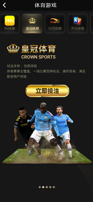 图片[10]-开元包网源码/开元综合盘源码/娱乐城源码-柏辰源码网