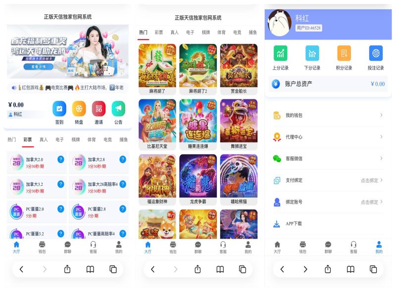 天信28彩票源码/天信包网源码/天信彩票源码/自动托/5套UI/电子可控-柏辰源码网