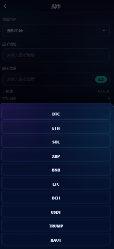 图片[19]-交易所系统源码：支持 WAP/App，Vue 3 + ThinkPHP 8 完整开源|IM聊天-柏辰源码网