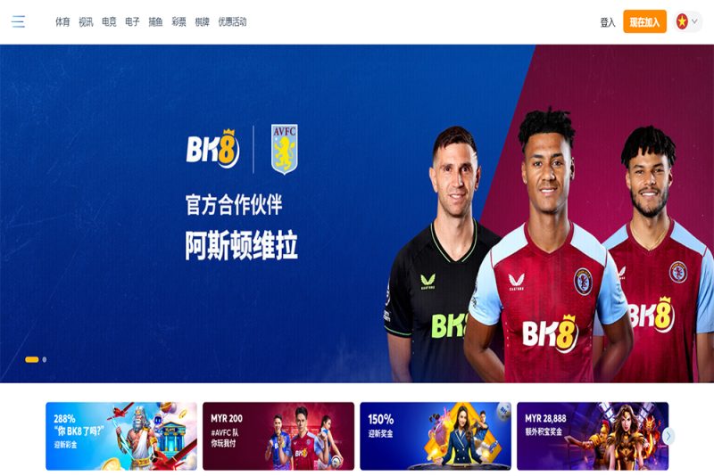 BK8综合盘源码/包网源码/娱乐城源码/多接口-柏辰源码网
